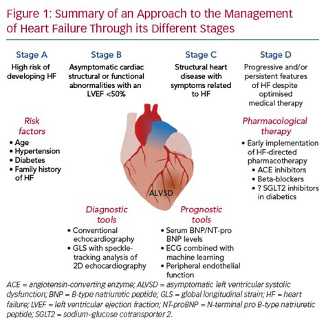 low normal lv systolic function|end stage systolic heart failure.